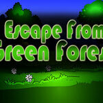 Top10 Escape From Green Forest